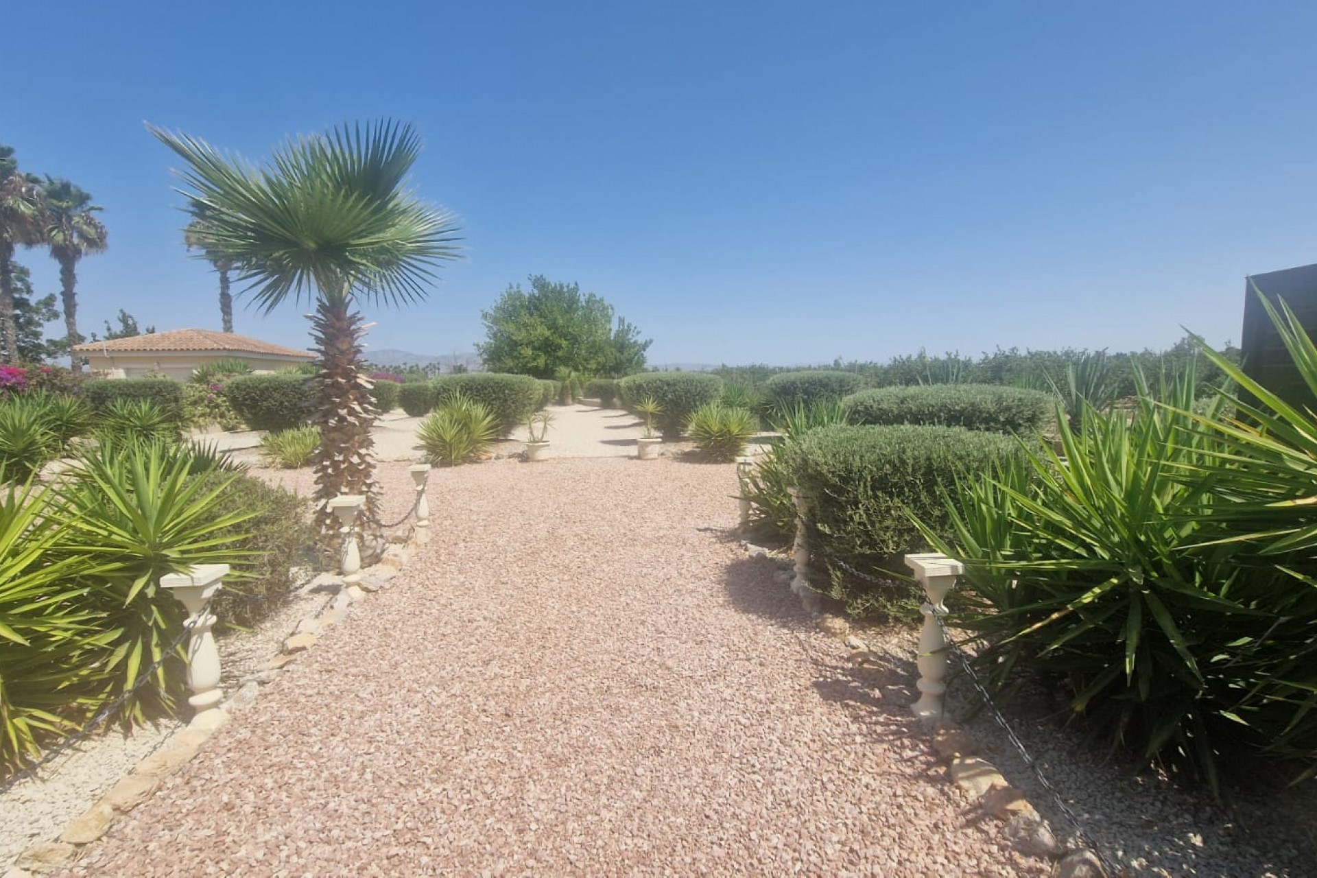 Revente - Country House -
Catral