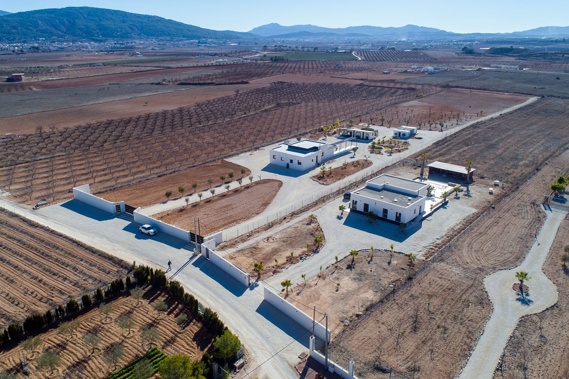 Revente - Country House -
Pinoso - Campo