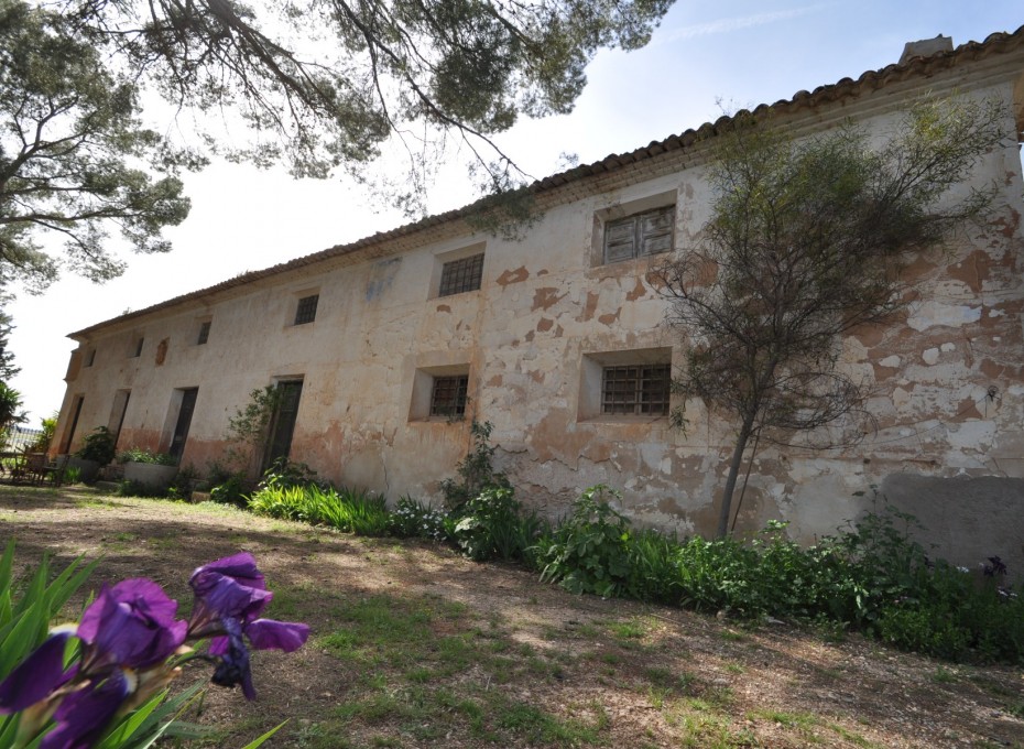 Revente - Country House -
Yecla - Inland