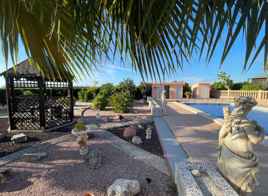 Revente - Country Property -
Crevillent - Crevillente