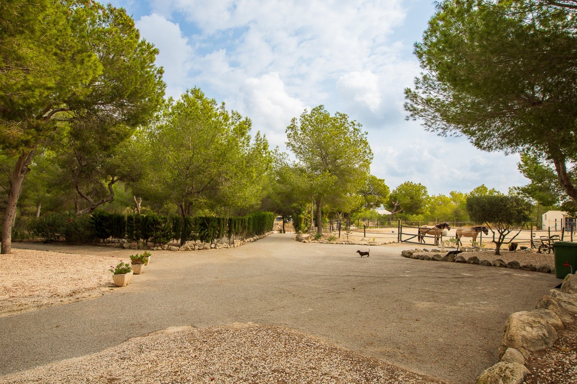 Revente - Country Property/Finca -
Torremendo