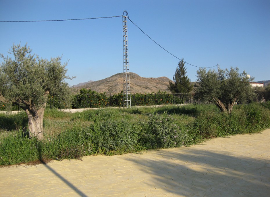 Revente - Finca / Country Property -
Benferri