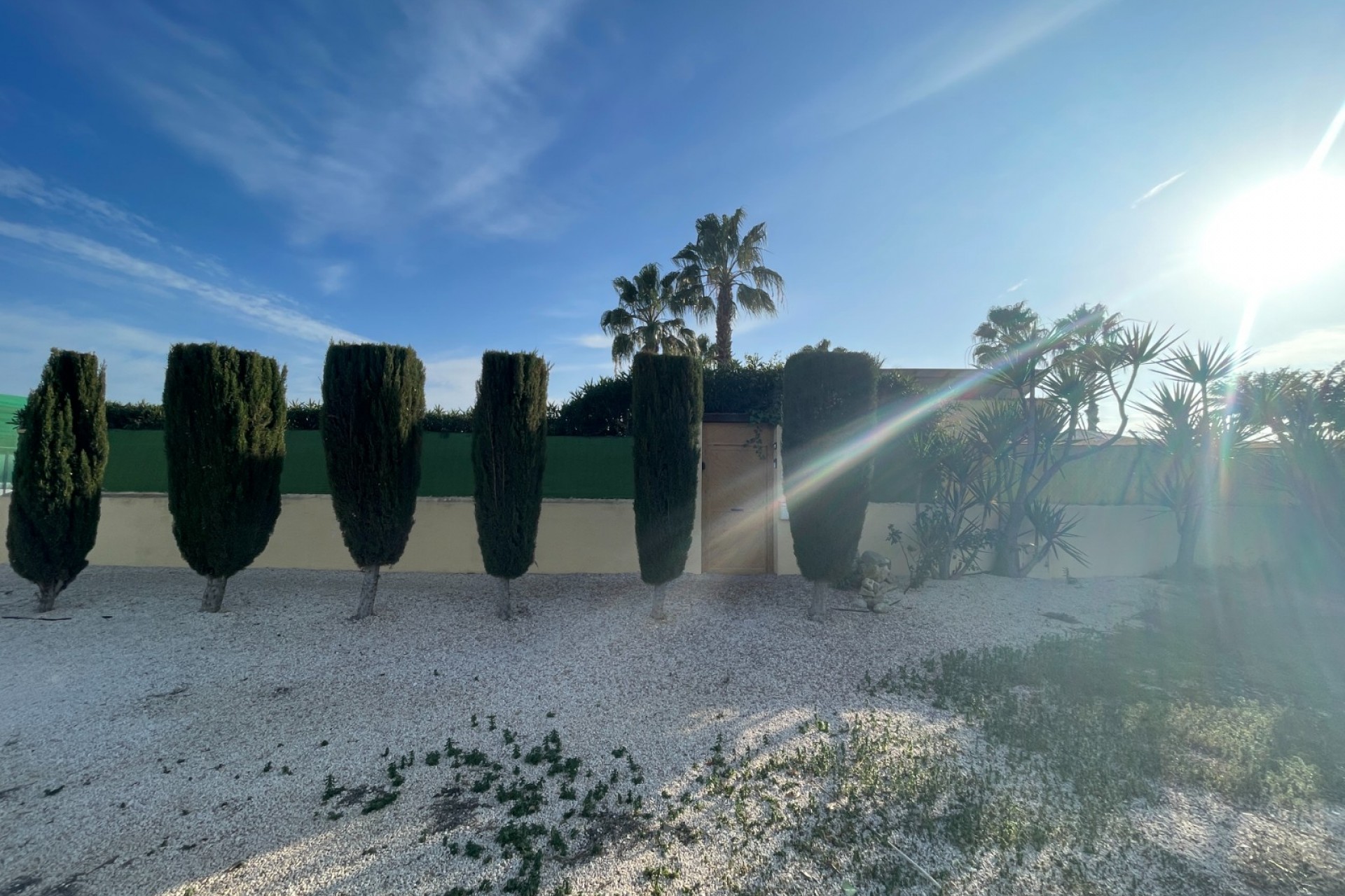 Revente - Finca / Country Property -
Elche - Las Bayas