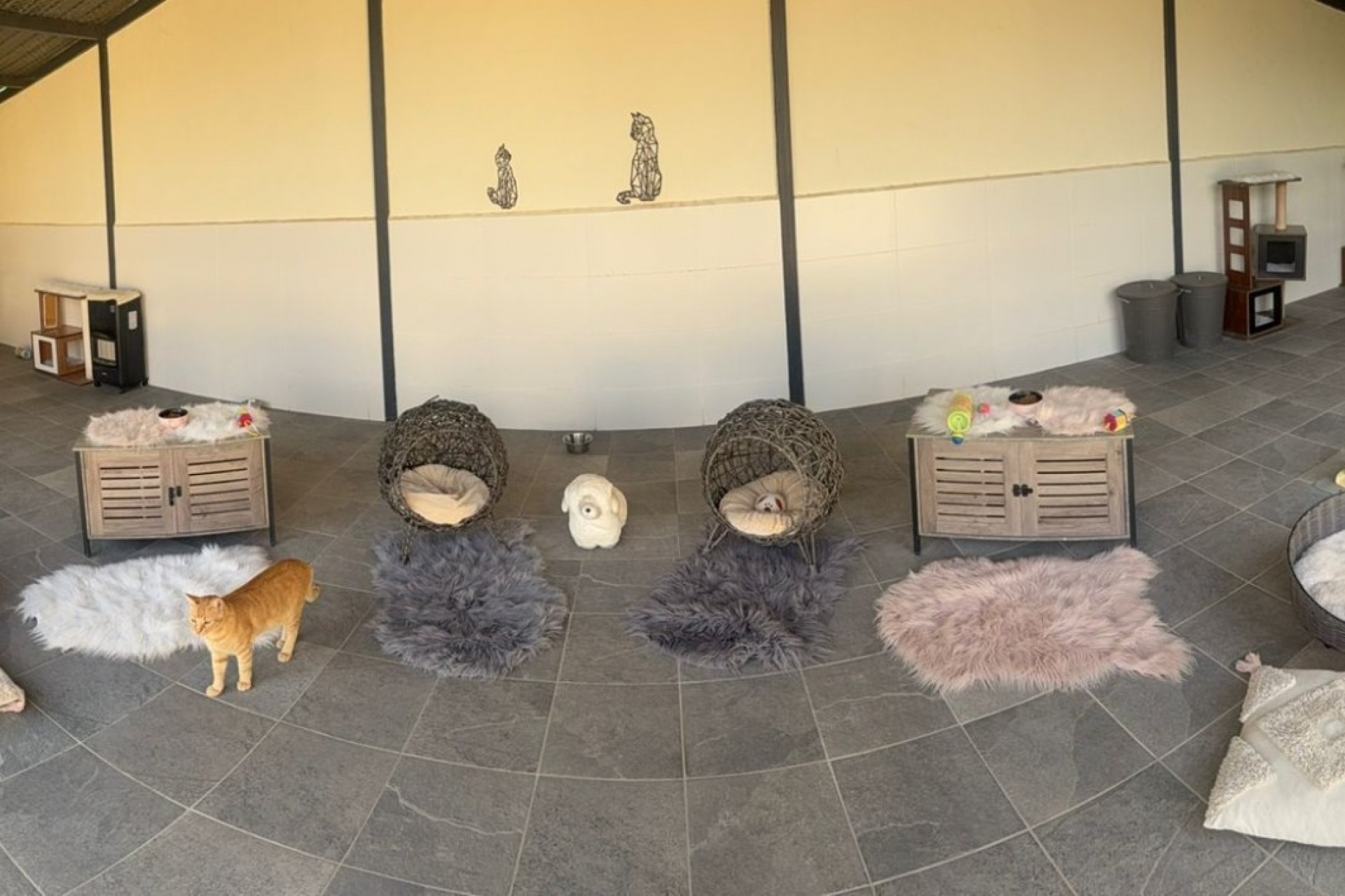 Revente - Finca / Country Property -
Elche - Las Bayas