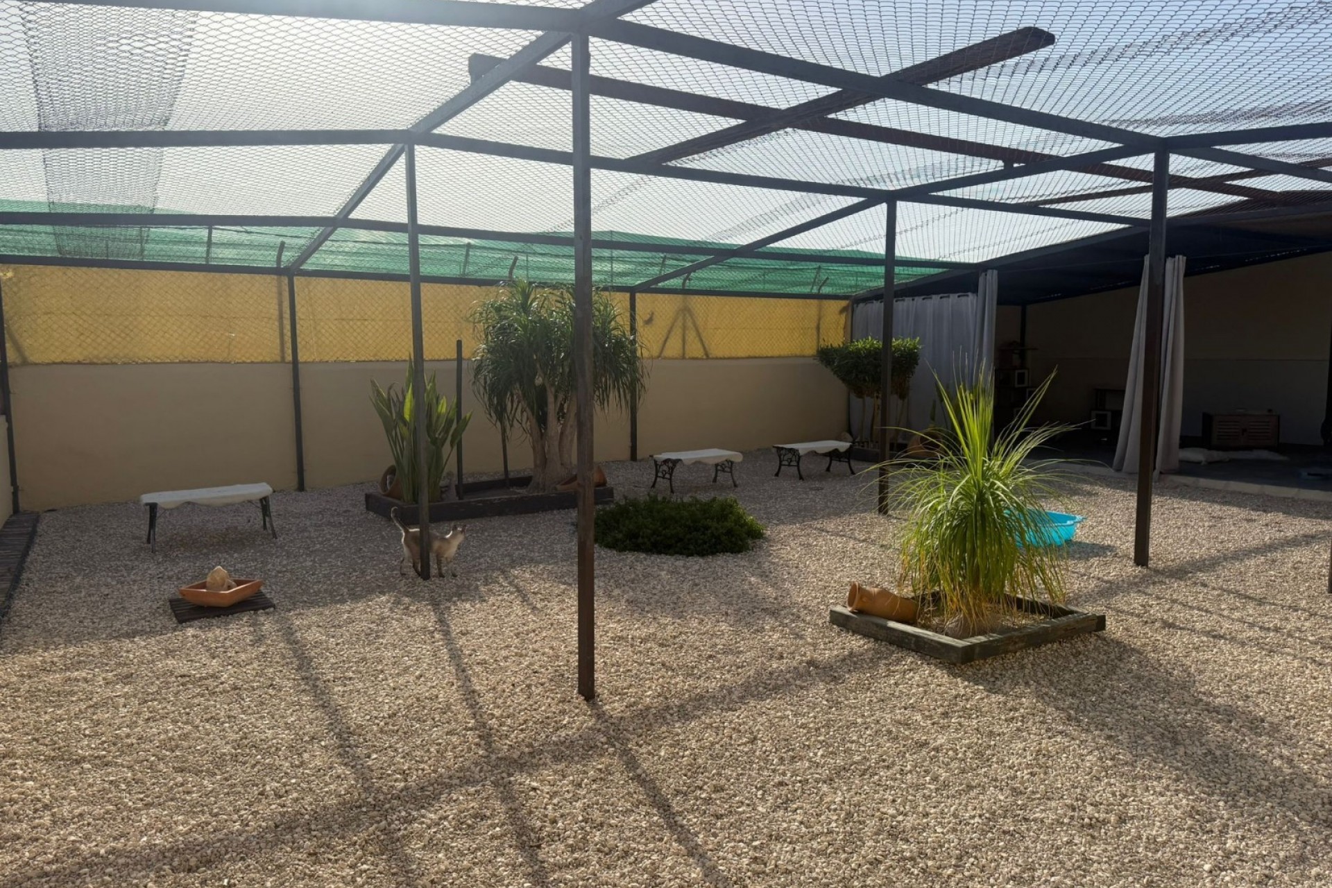 Revente - Finca / Country Property -
Elche - Las Bayas