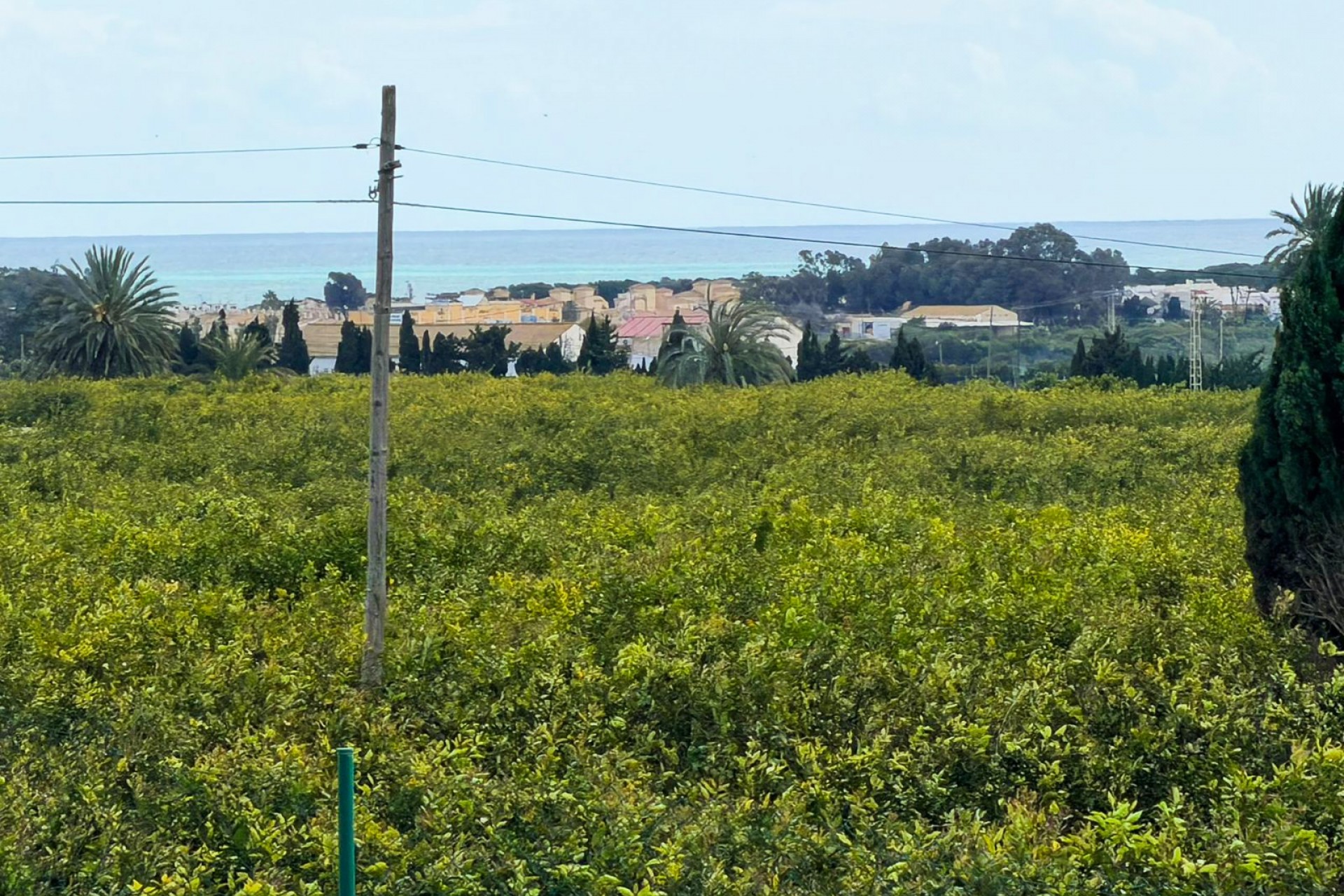 Revente - Finca Country Property -
Guardamar del Segura - Guardamar