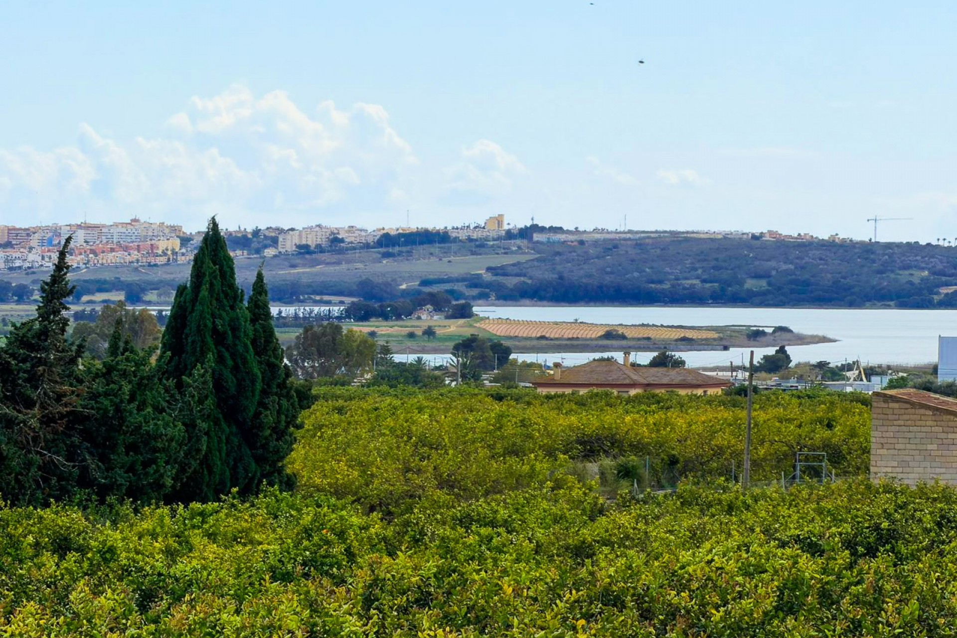 Revente - Finca Country Property -
Guardamar del Segura - Guardamar