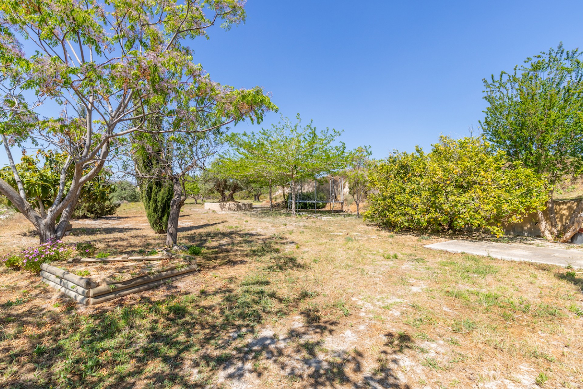 Revente - Finca -
Teulada - Campo