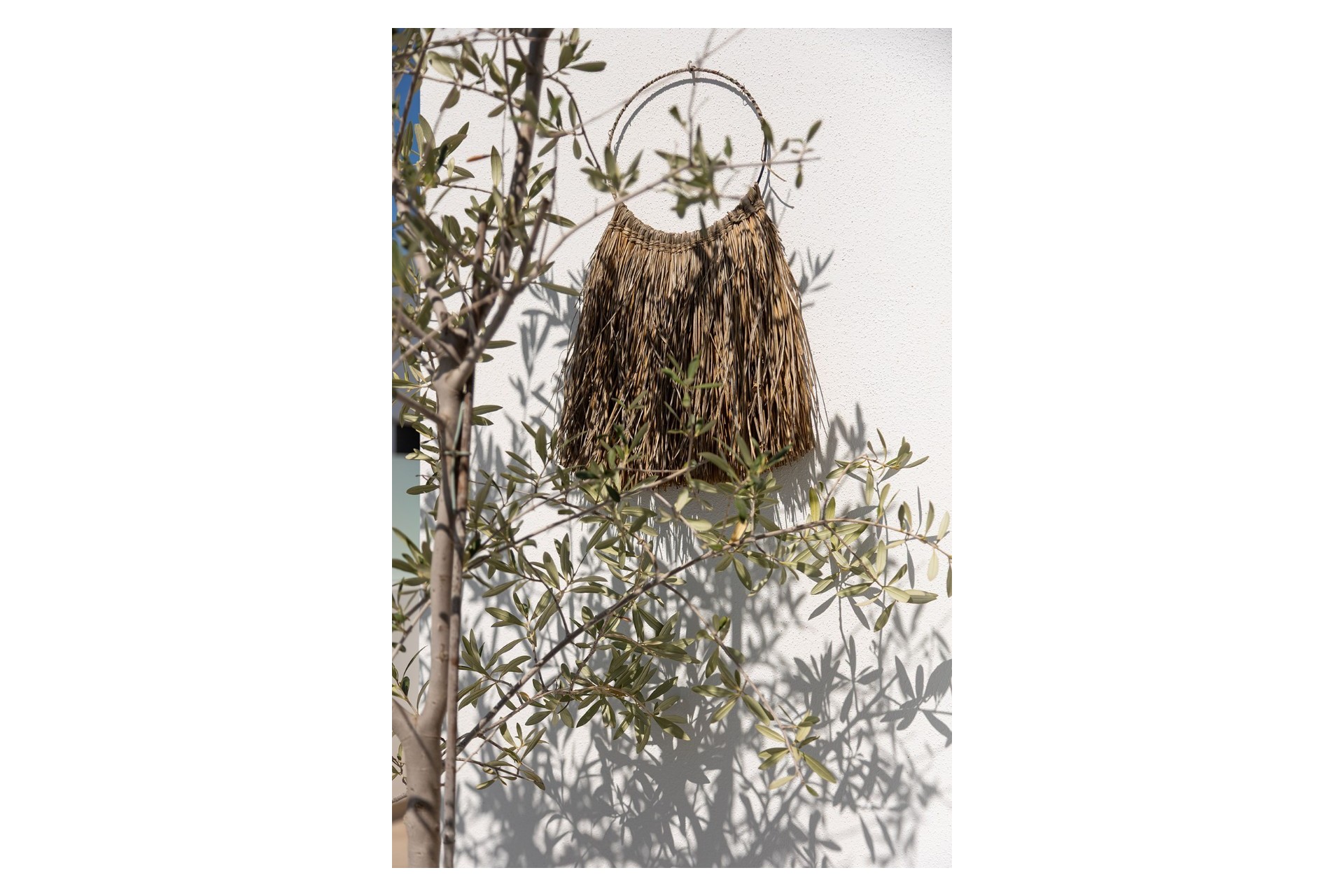 Revente - House -
Dolores