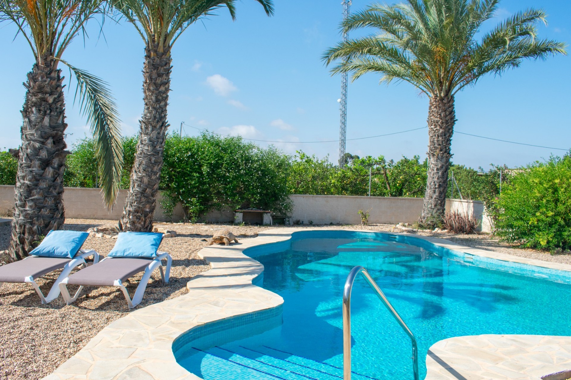 Revente - Independent villa -
Guardamar del Segura - EL RASO