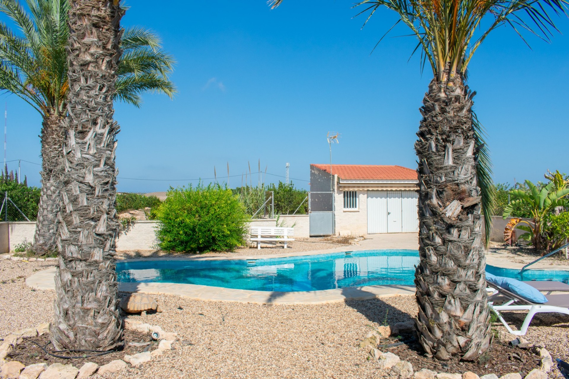 Revente - Independent villa -
Guardamar del Segura - EL RASO