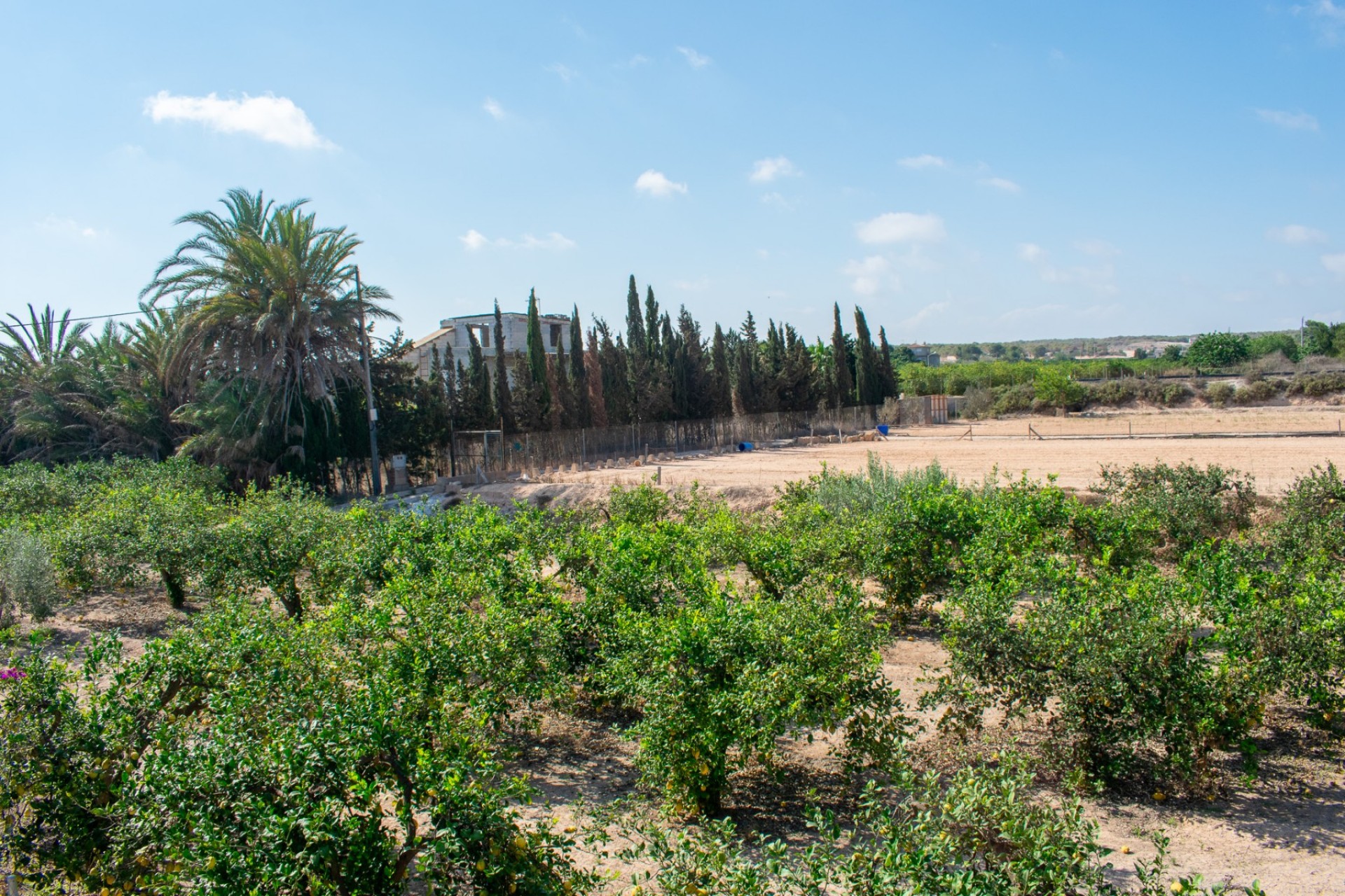 Revente - Independent villa -
Guardamar del Segura - EL RASO
