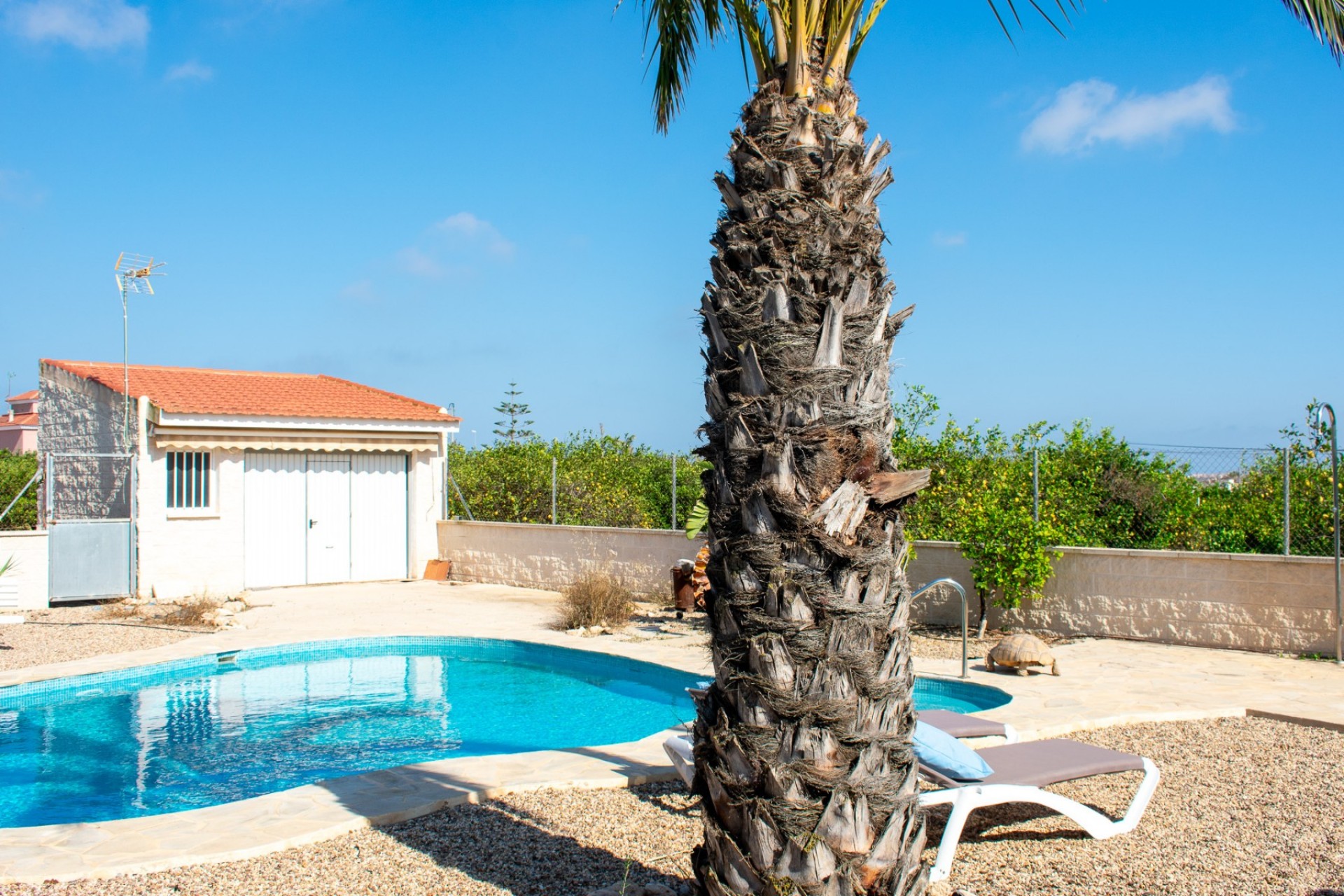 Revente - Independent villa -
Guardamar del Segura - EL RASO
