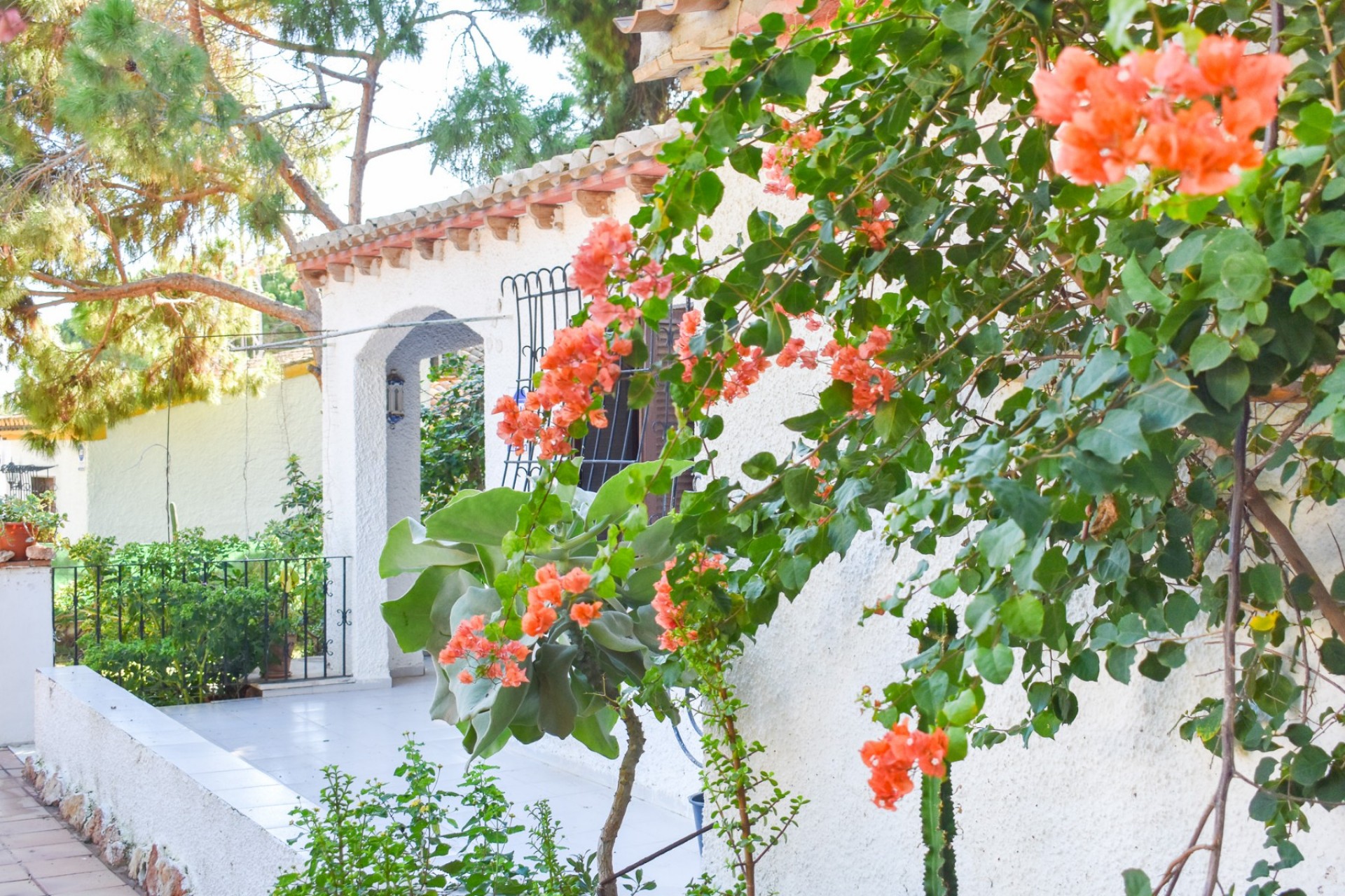 Revente - Independent villa -
Orihuela Costa - Punta Prima