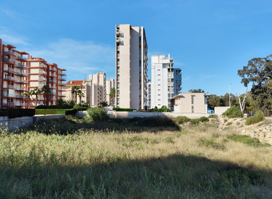 Revente - Plot -
Guardamar del Segura - guardamar del segura