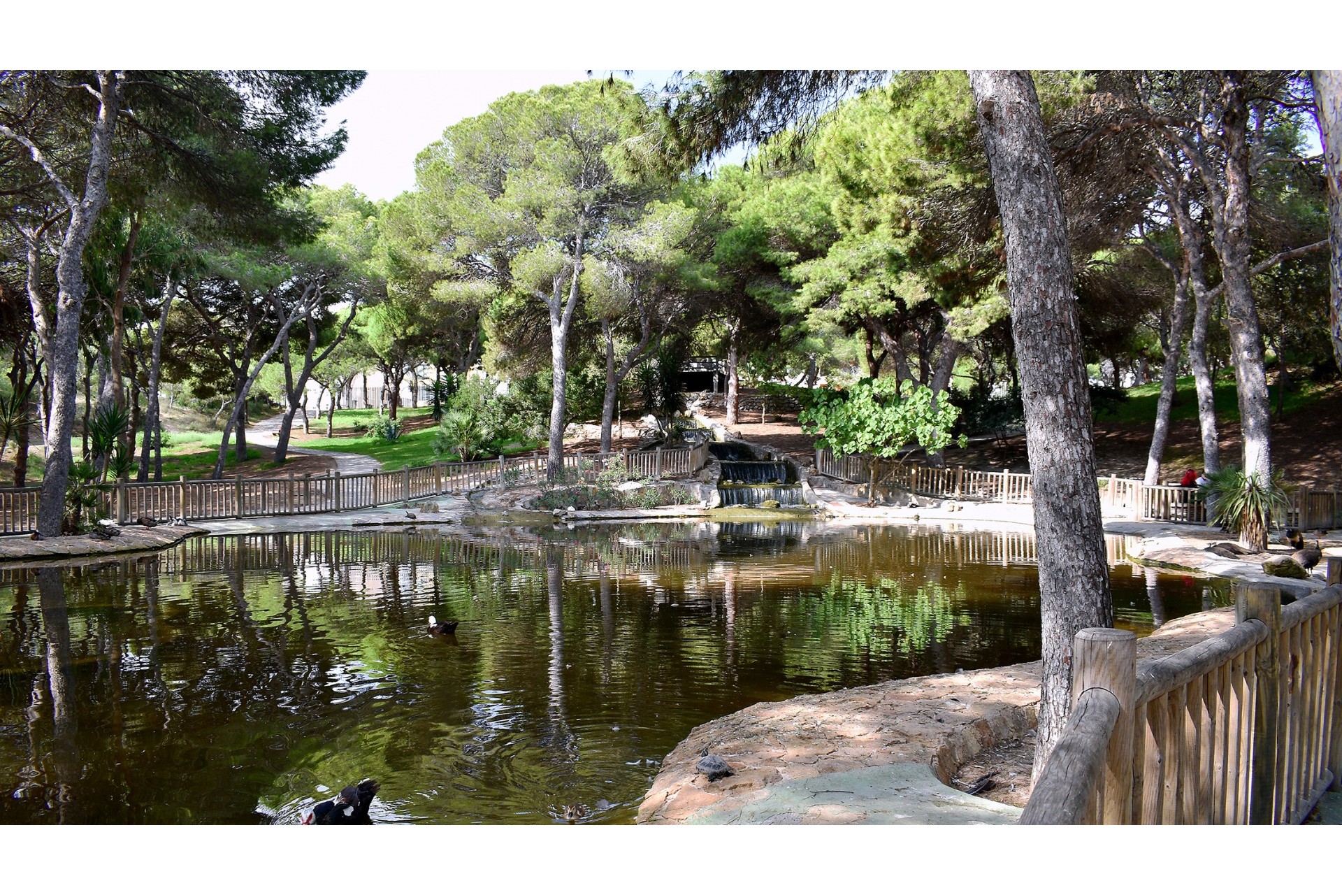 Revente - Plot -
Guardamar del Segura - Guardamar pueblo