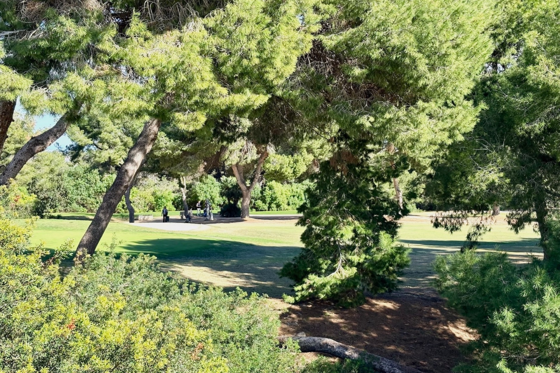 Revente - Single Family Home -
Orihuela Costa - Las Filipinas