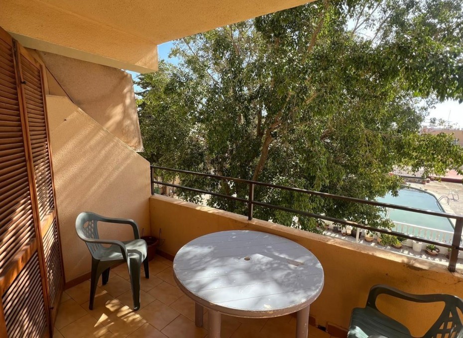 Revente - Studio -
Torrevieja - Urb. Rosaleda