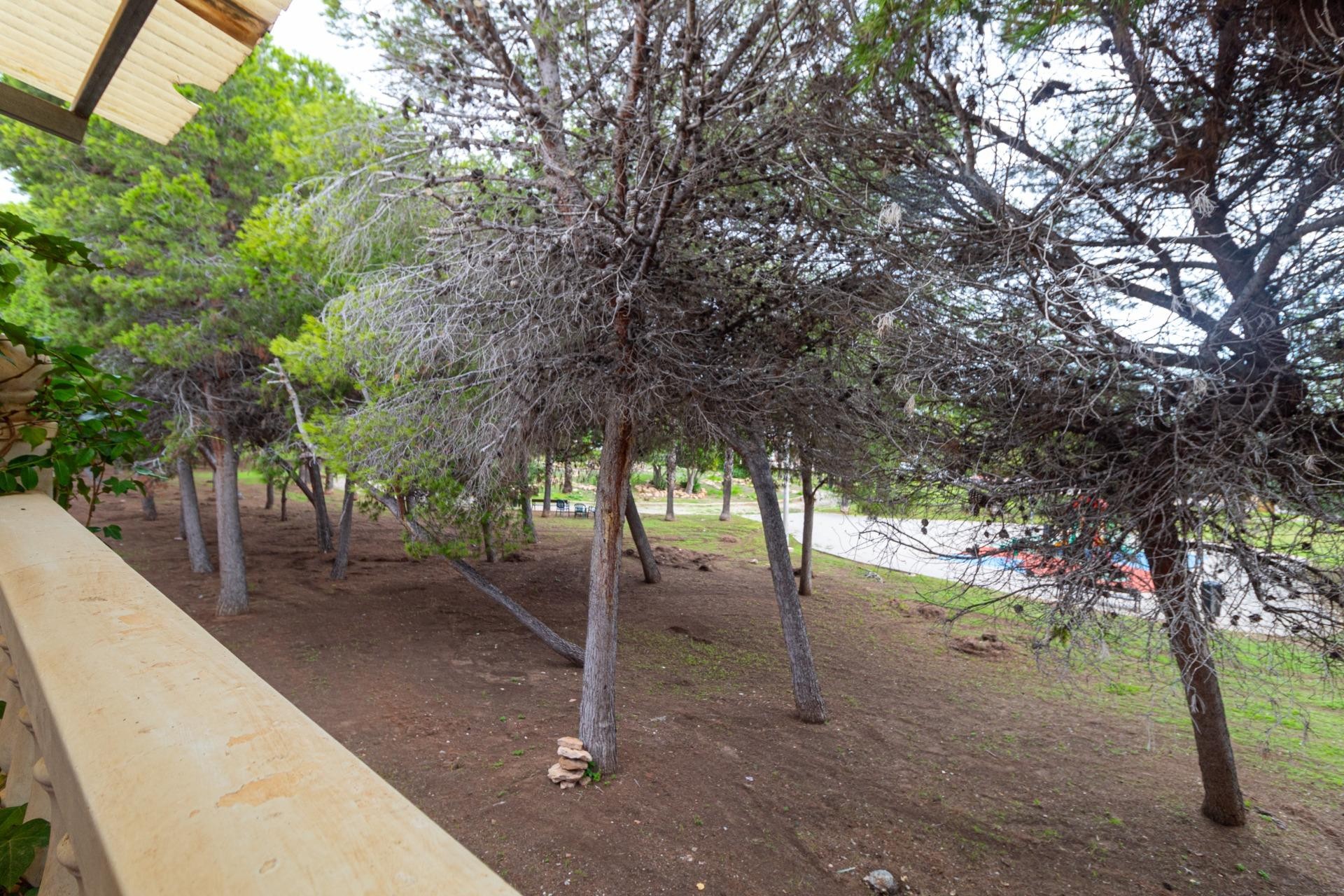 Revente - Terraced house -
Torrevieja - Los altos