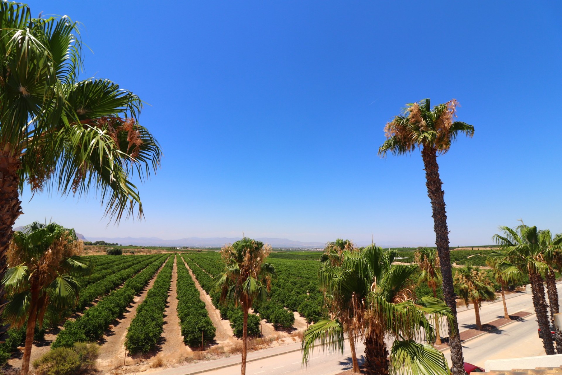 Revente - Villa -
Algorfa - La finca Golf