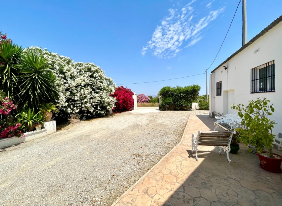 Revente - Villa -
Daya Nueva