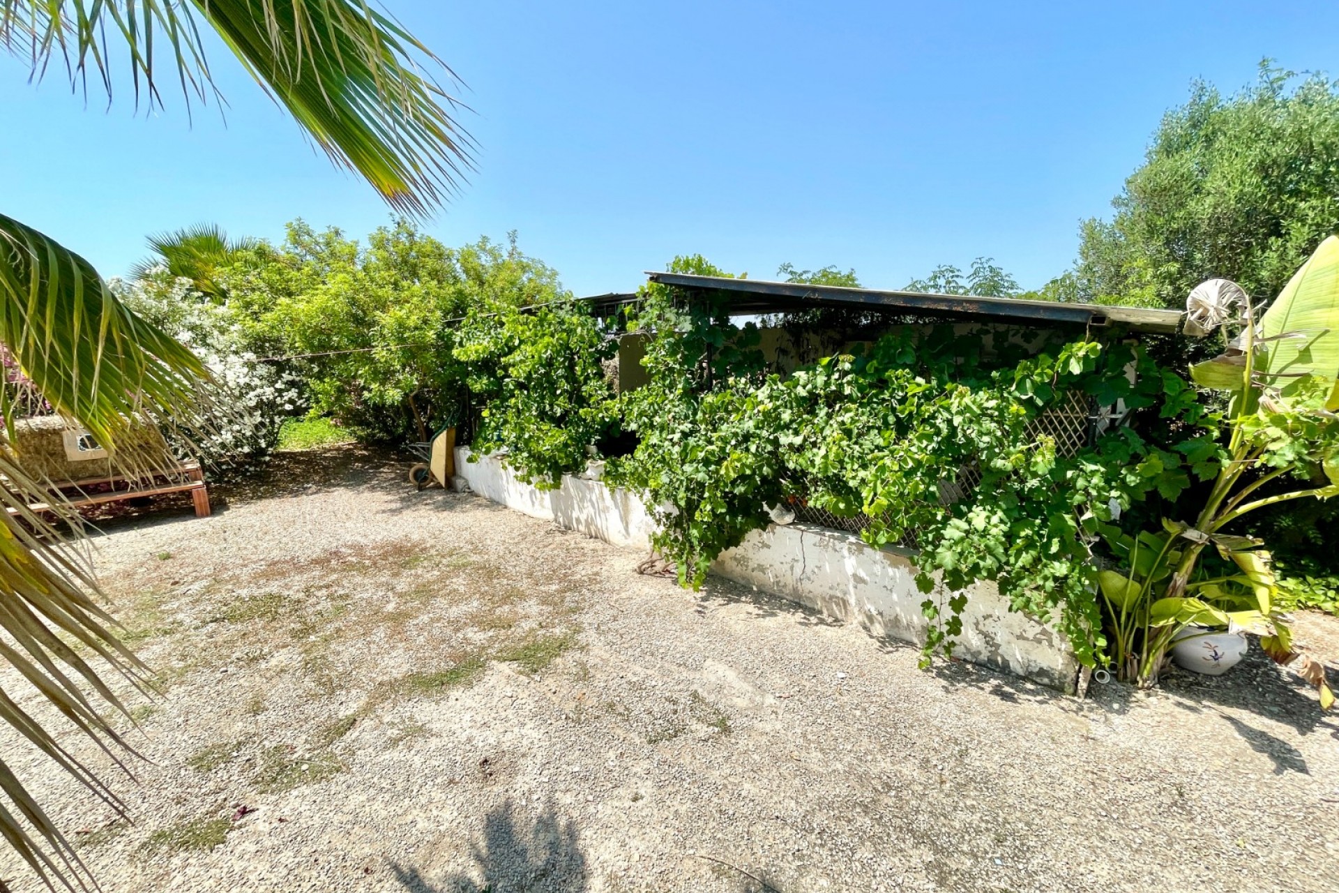 Revente - Villa -
Daya Nueva