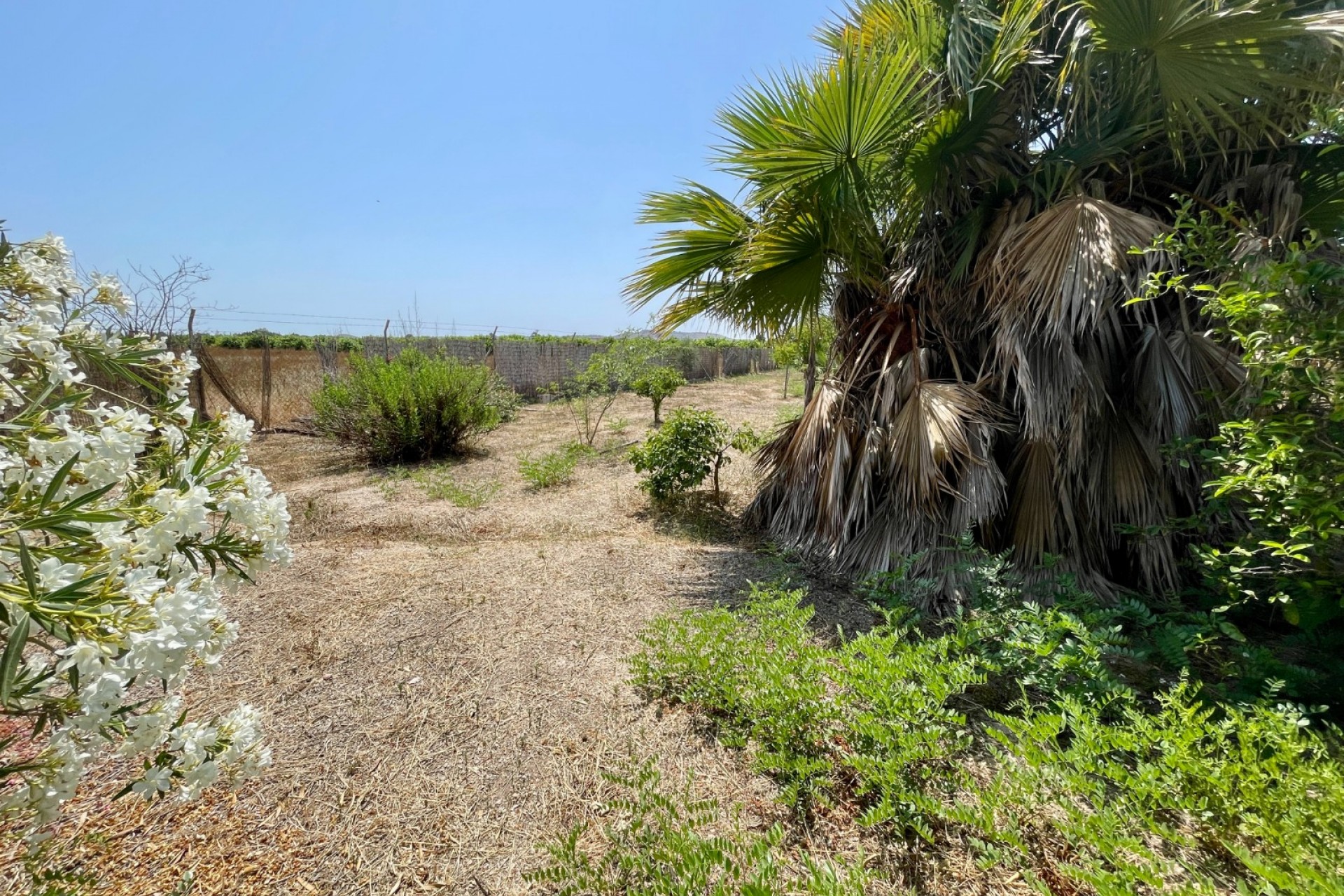 Revente - Villa -
Daya Nueva