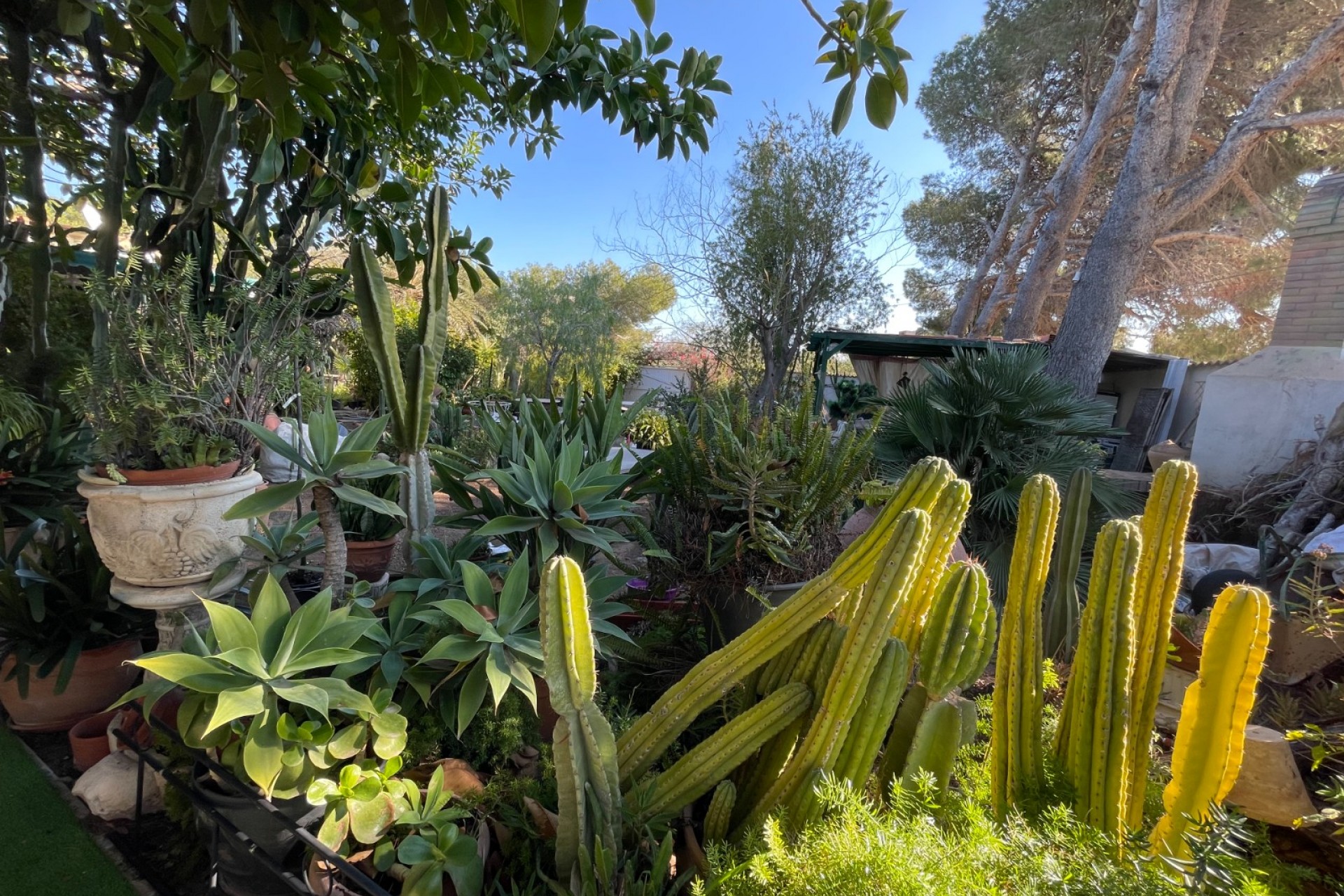 Revente - Villa -
Orihuela Costa - Lomas De Cabo Roig