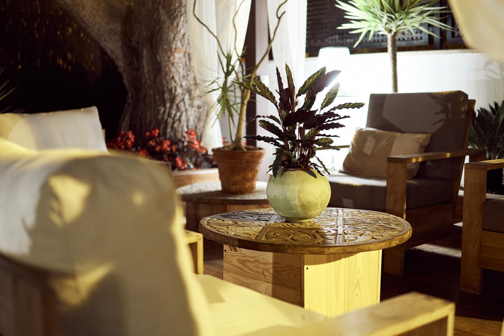 Revente - Villa -
Orihuela Costa - Punta Prima