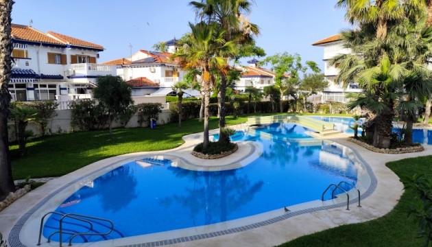 Studio - Reventa - Torrevieja -
                Torrevieja