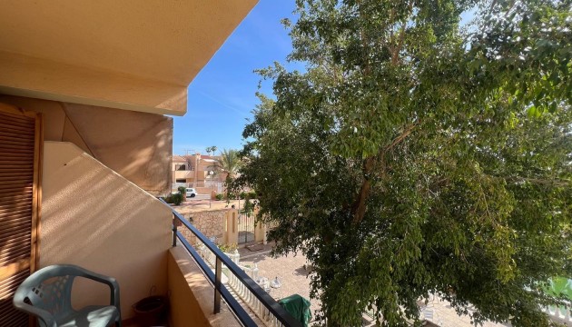 Studio - Revente - Torrevieja -
                Urb. Rosaleda