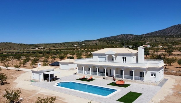Villa - Nueva construcción  - Pinoso - Pinoso