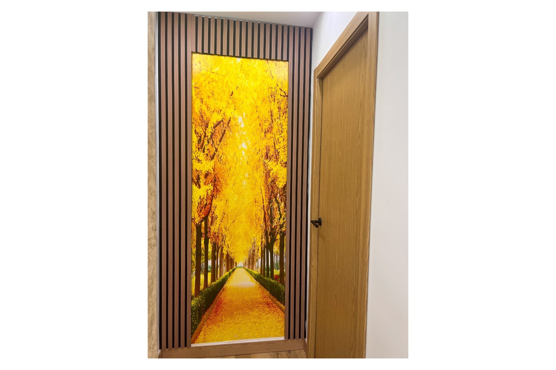 Wiederverkauf - Apartamento -
Torrevieja
