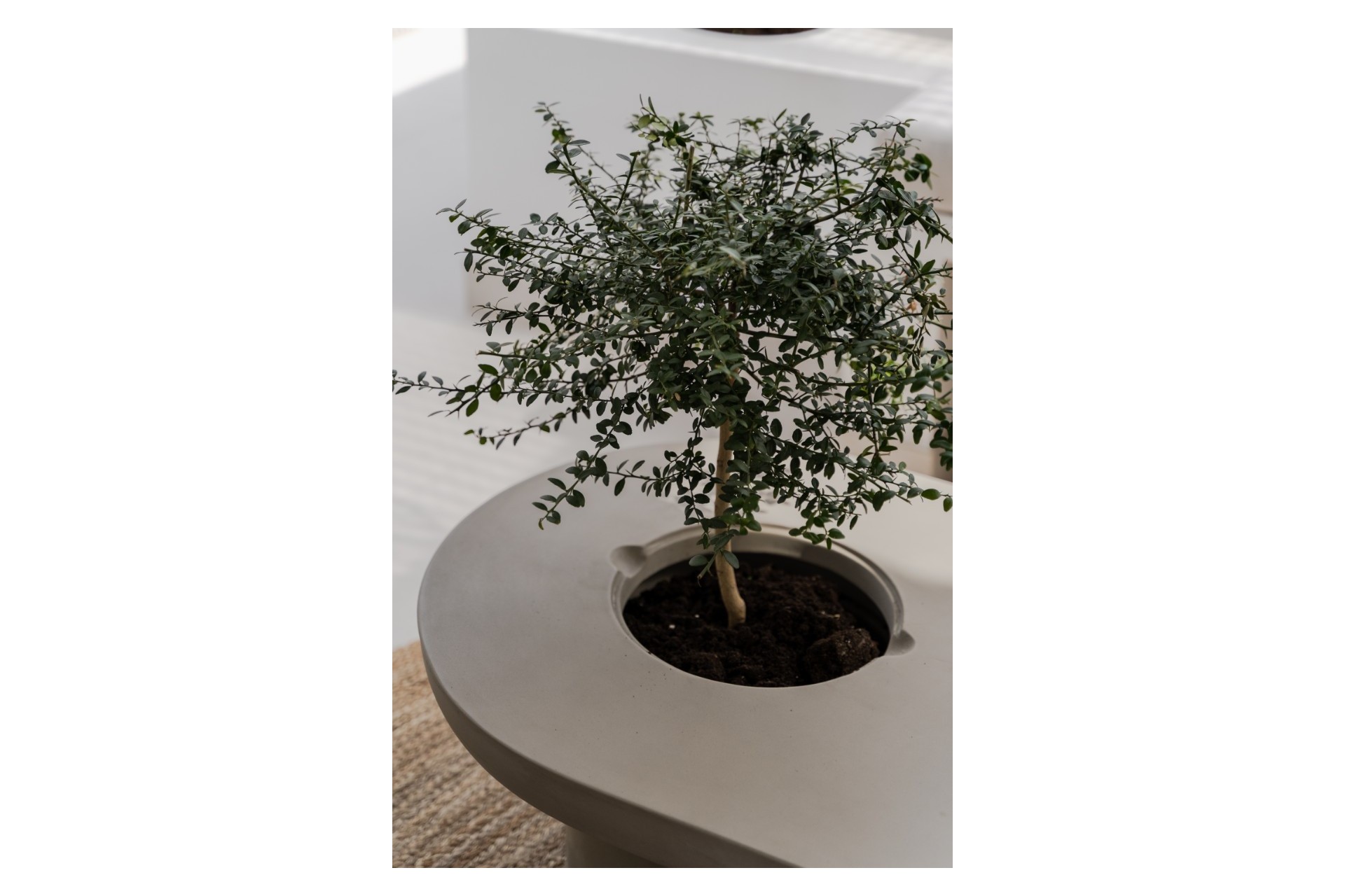 Wiederverkauf - Apartment -
Benahavis - La Quinta