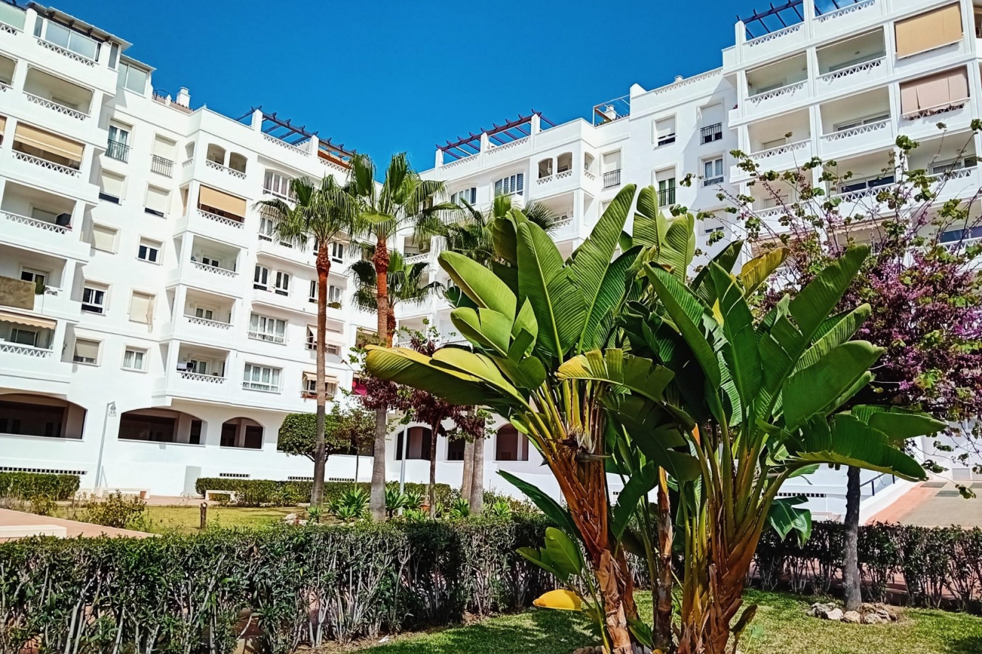 Wiederverkauf - Apartment -
Marbella - Nueva Andalucía