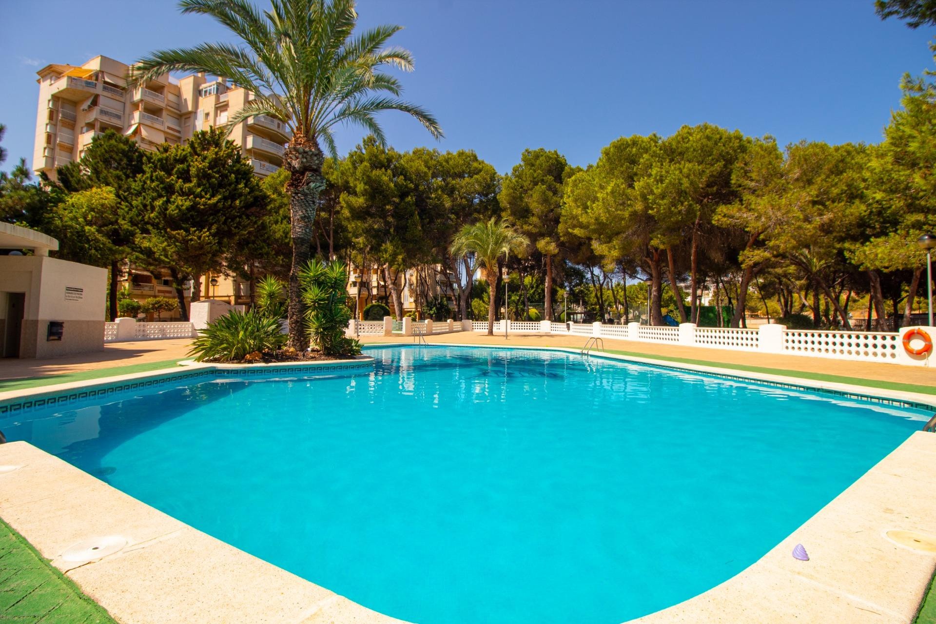 Wiederverkauf - Apartment -
Orihuela Costa - Campoamor