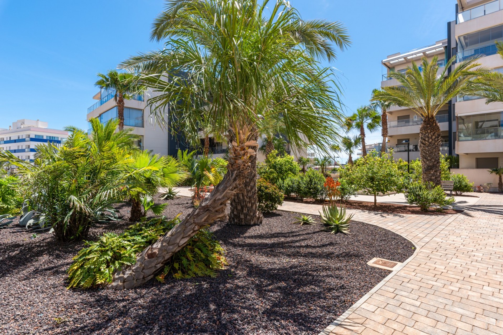 Wiederverkauf - Apartment -
Orihuela Costa - Los Dolses