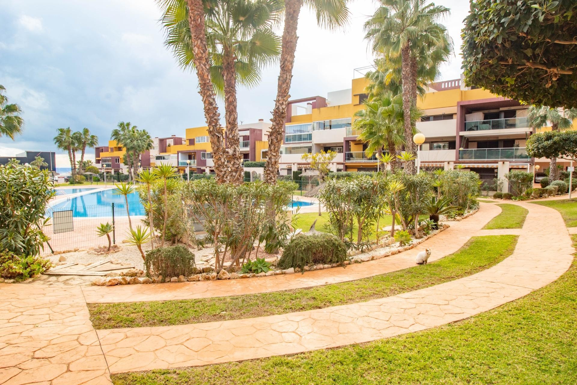 Wiederverkauf - Apartment -
Orihuela Costa - Playa Flamenca