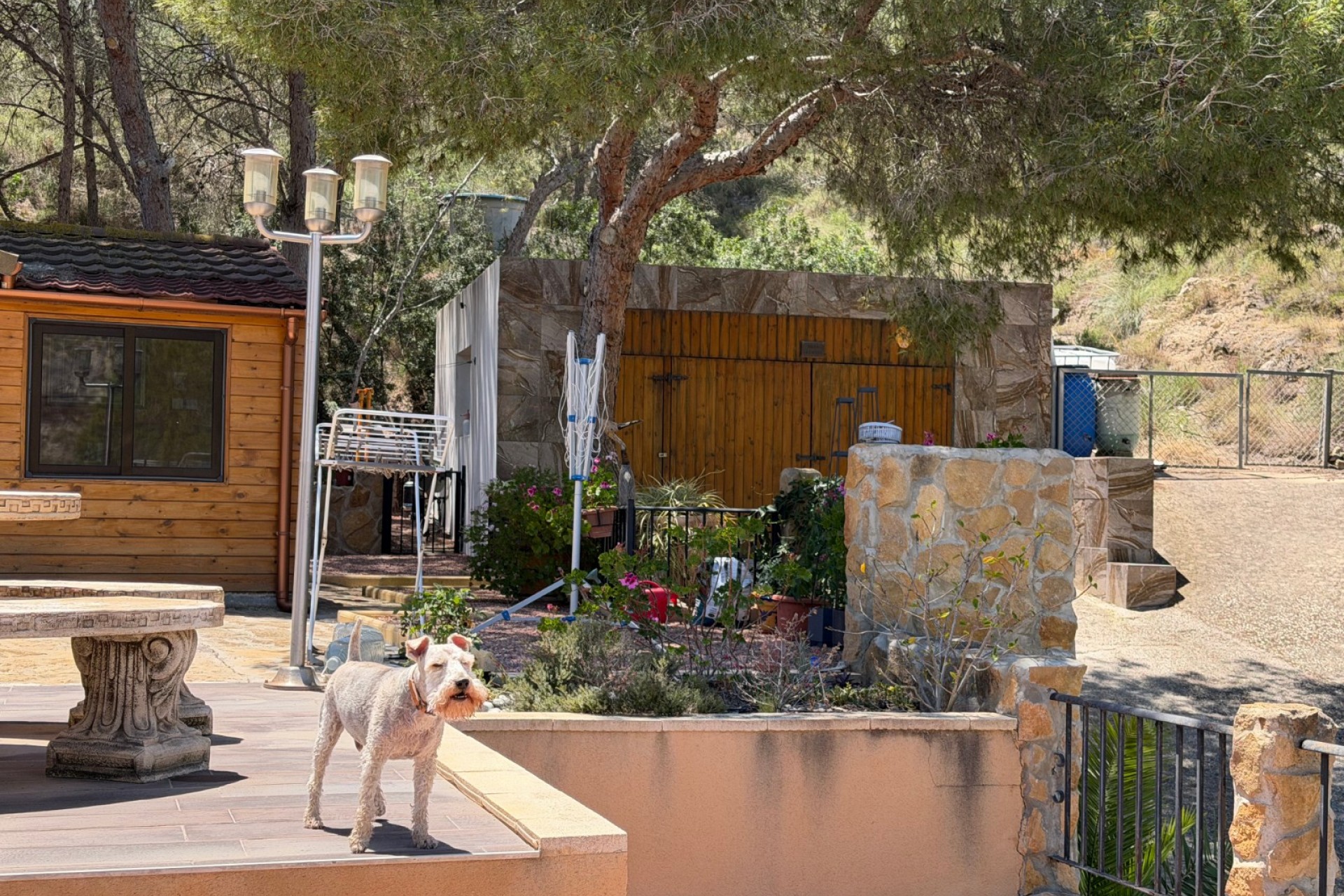 Wiederverkauf - Country Property/Finca -
Orihuela - Torremendo