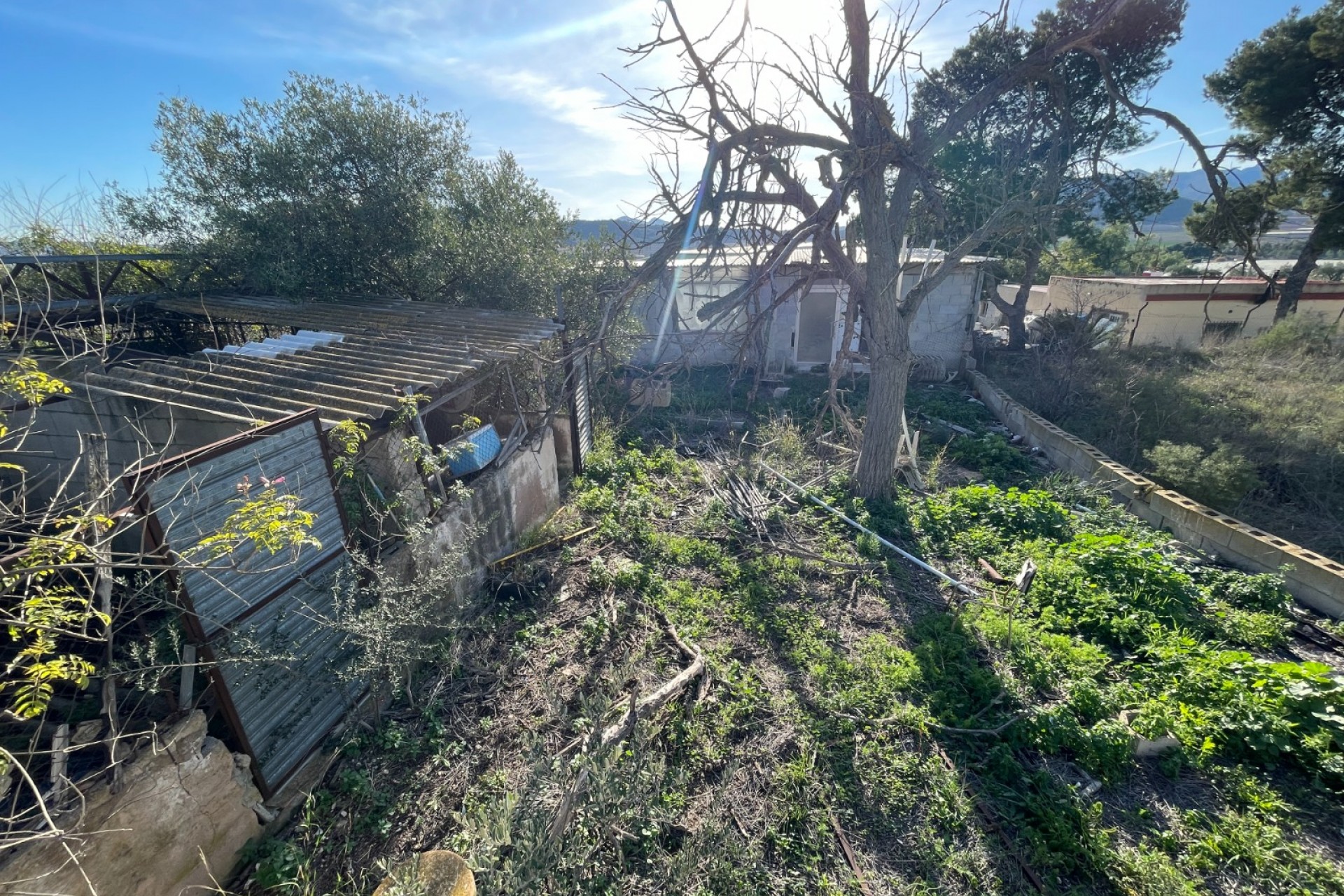 Wiederverkauf - Finca / Country Property -
Aspe