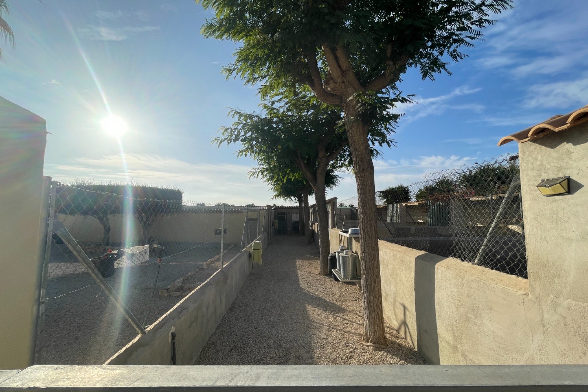 Wiederverkauf - Finca / Country Property -
Elche - Las Bayas