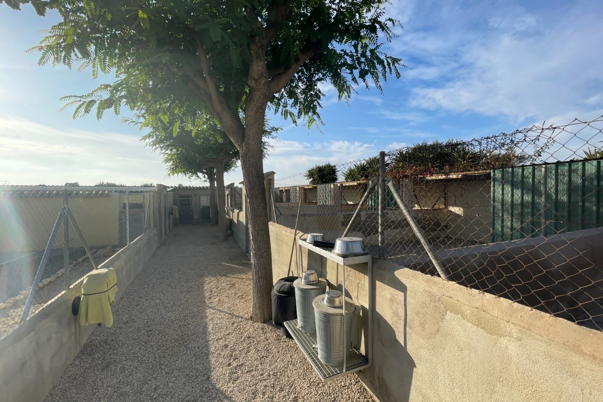 Wiederverkauf - Finca / Country Property -
Elche - Las Bayas