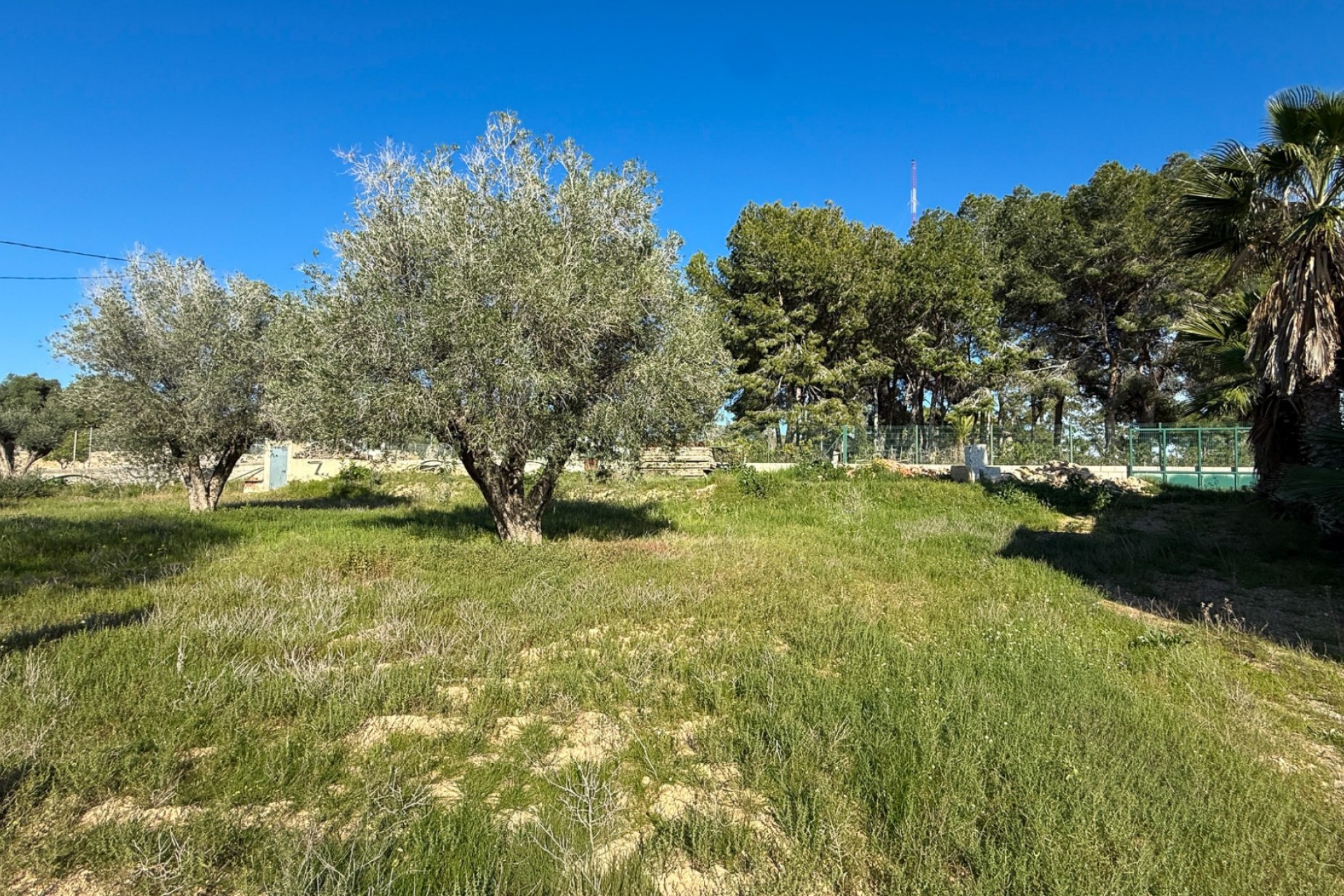 Wiederverkauf - Finca Country Property -
Guardamar del Segura - Guardamar