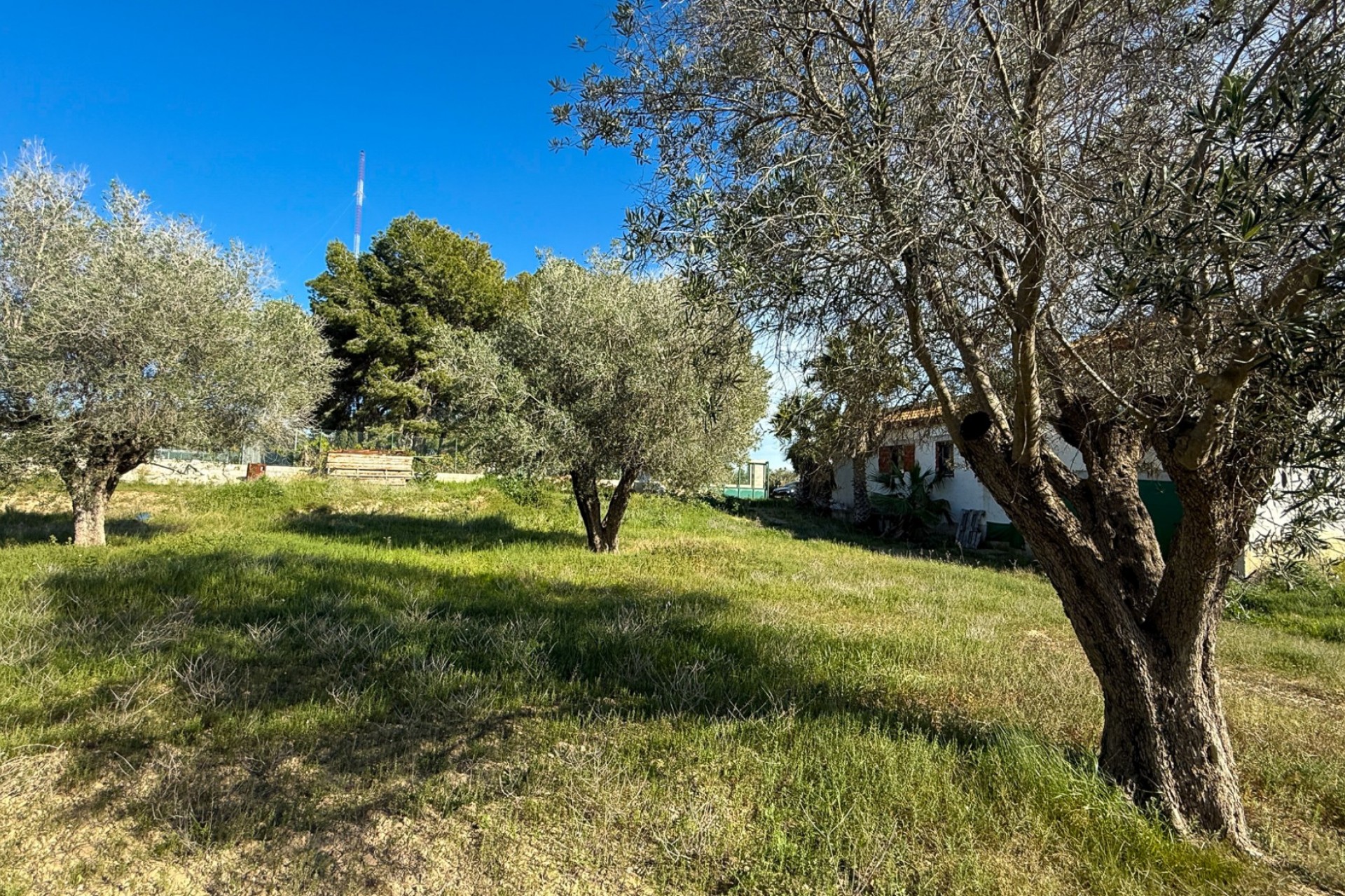 Wiederverkauf - Finca Country Property -
Guardamar del Segura - Guardamar