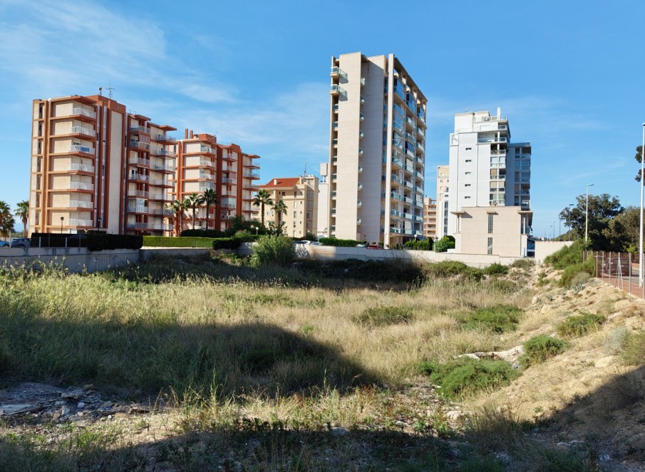 Wiederverkauf - Plot -
Guardamar del Segura - Guardamar pueblo