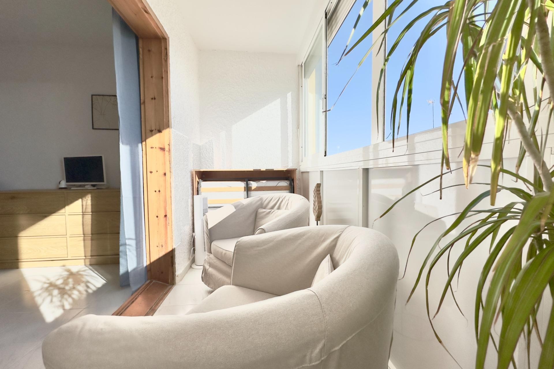 Wiederverkauf - Studio -
Torrevieja - Los Europeos