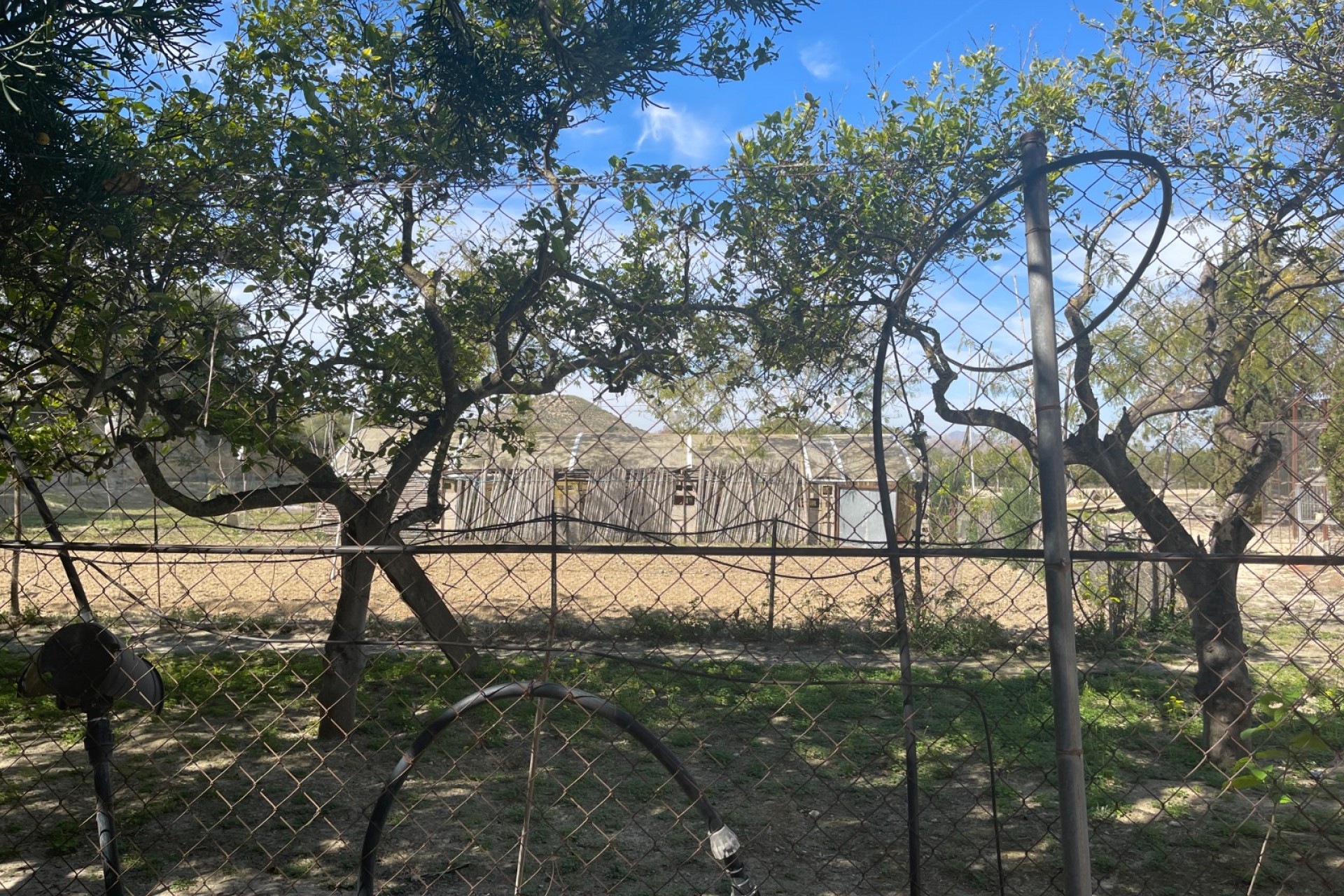 Wiederverkauf - Villa -
Guardamar del Segura - Valencian Community