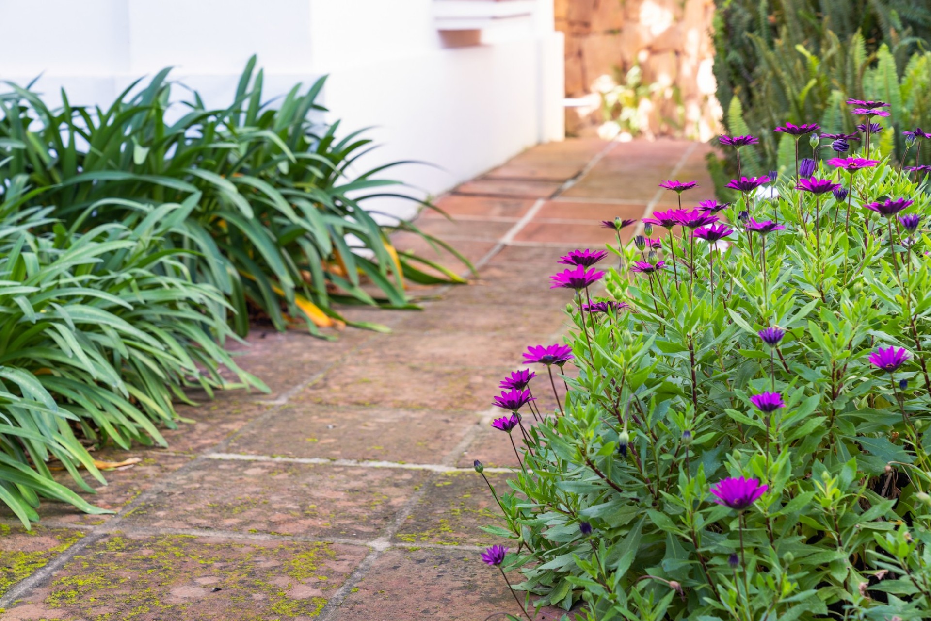 Wiederverkauf - Villa -
Marbella - Los Monteros