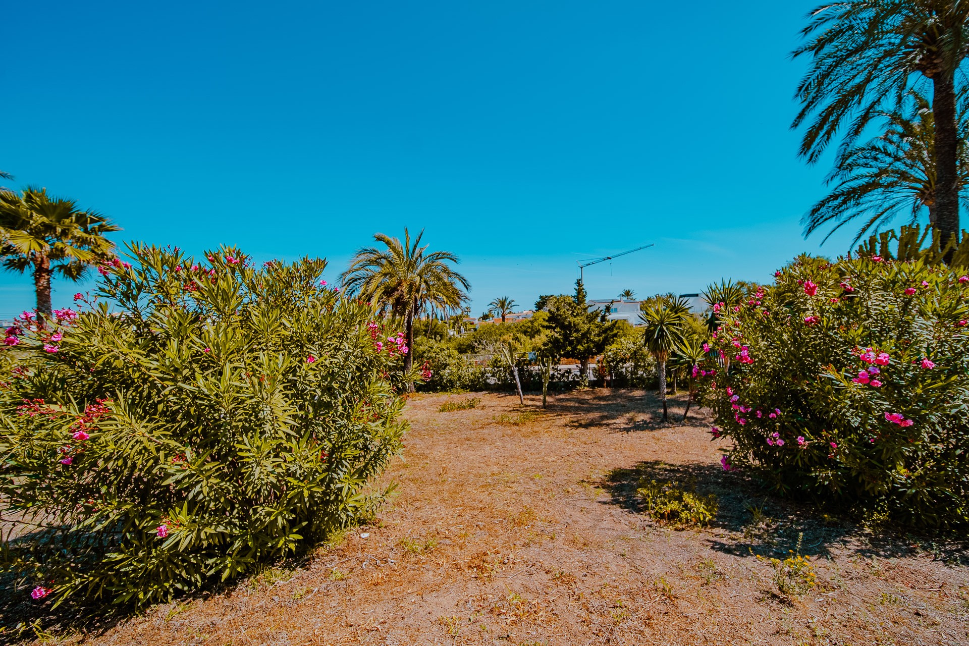 Wiederverkauf - Villa -
Orihuela Costa - Playa Flamenca