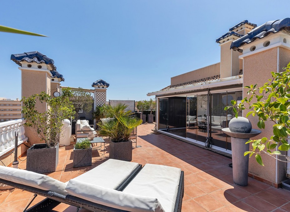 Ready-to-move-in penthouse spacious terrace and veranda
